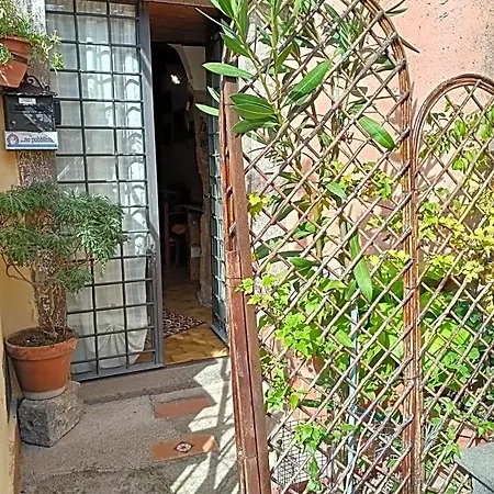 Bellavista Bagnoregio